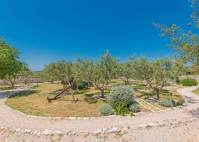 Lovely In With Wifi יאדריה